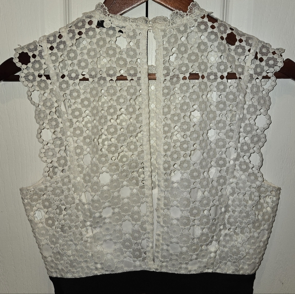 Sandro Gab Embroidered Floral Lace Two-Tone Open-Back Mini Dress – Size 38 #N4 - Picture 5 of 8